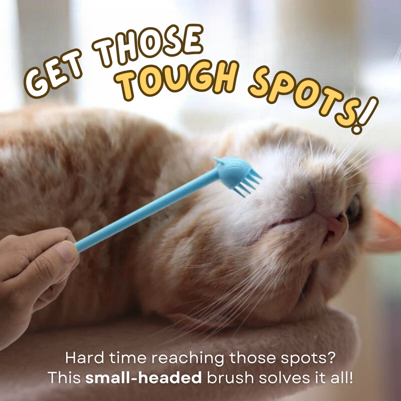 Purr Spot Brush - Shop for less