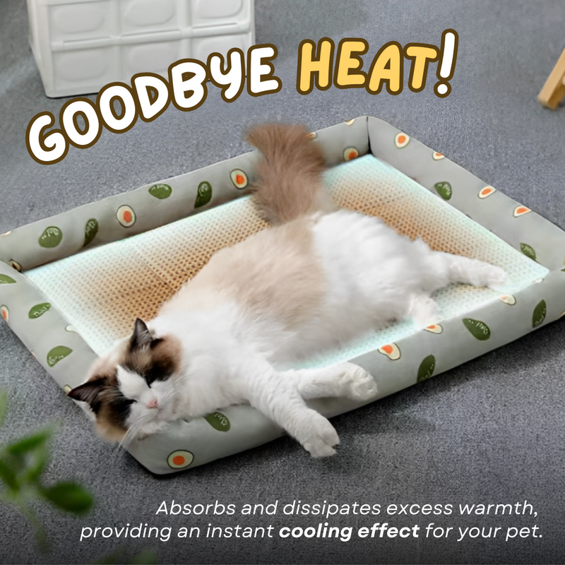 Snuggly Cooling Mat - Shop for less