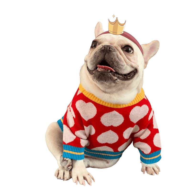 Knitted Sweater Clothes for Dogs - Pet Date - Shop for less