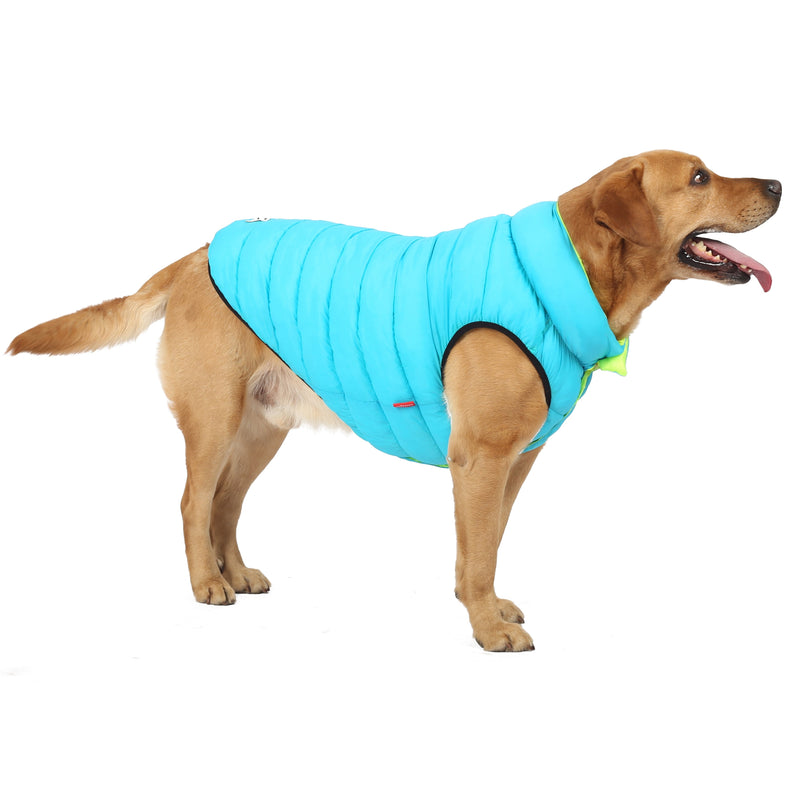 2 in 1 Double Sided Dog Thermal Vest - Shop for less