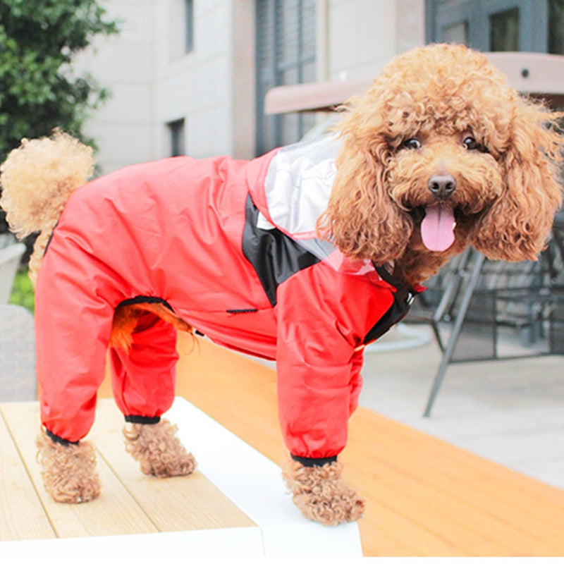 Raincoat for Small and Medium-sized Dogs - Shop for less