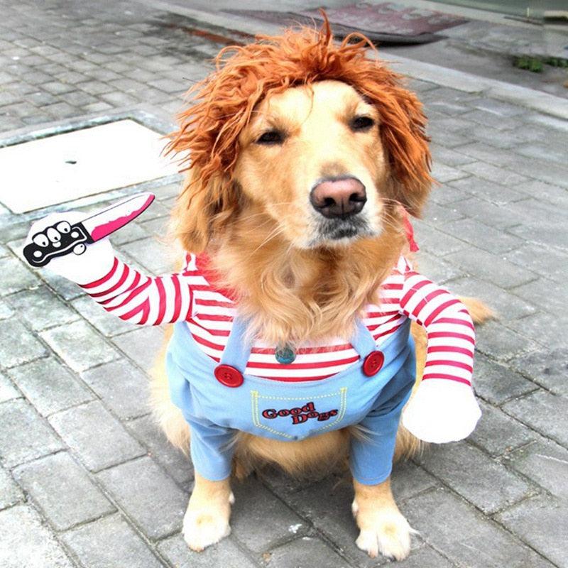 Dog Costume - Chucky - Shop for less