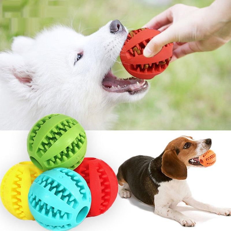 Environmental Enrichment Ball - Smart Ball - Shop for less