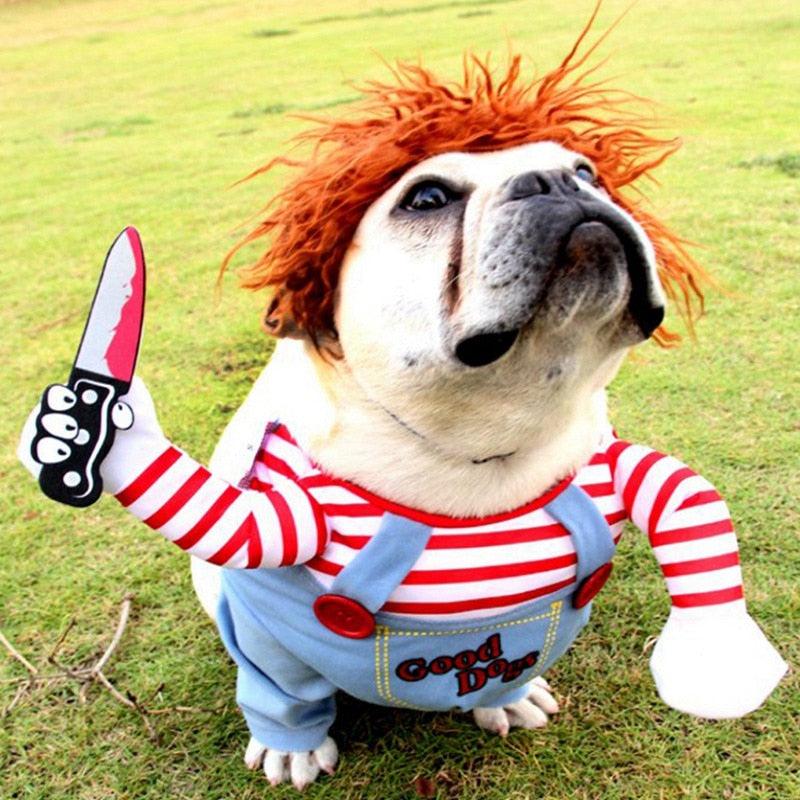 Dog Costume - Chucky - Shop for less