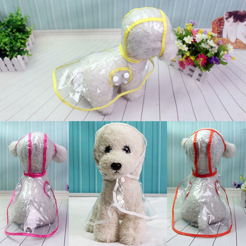 Raincoat for Small Breed Dogs - Shop for less