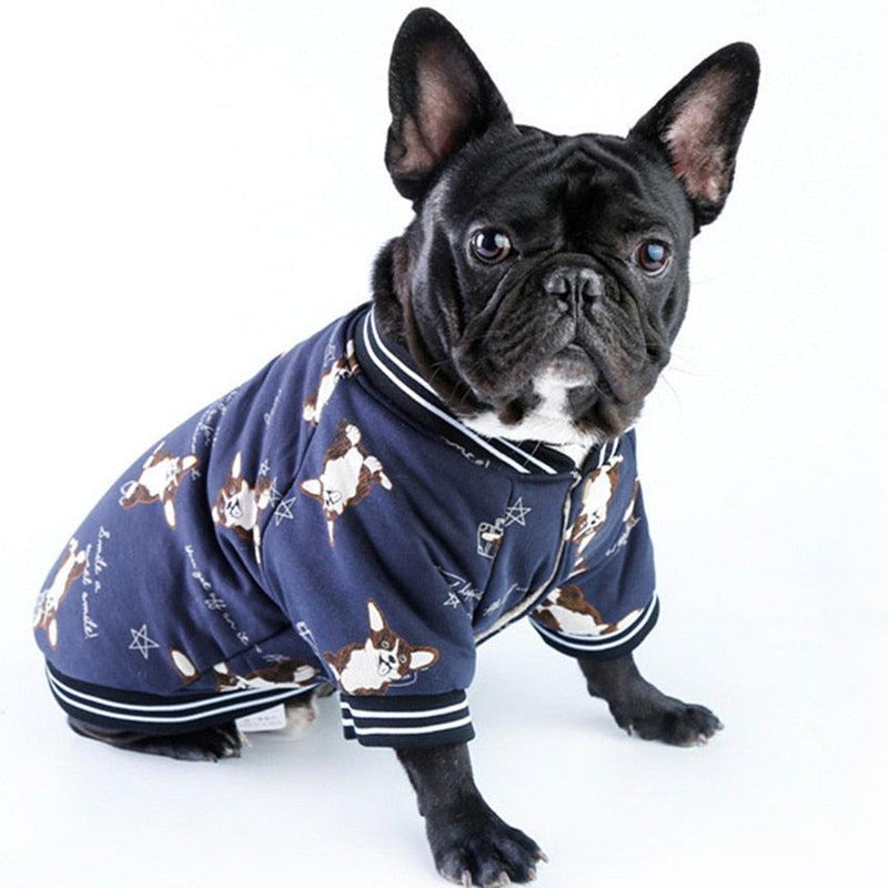 Pet Bonsai Jacket - Shop for less