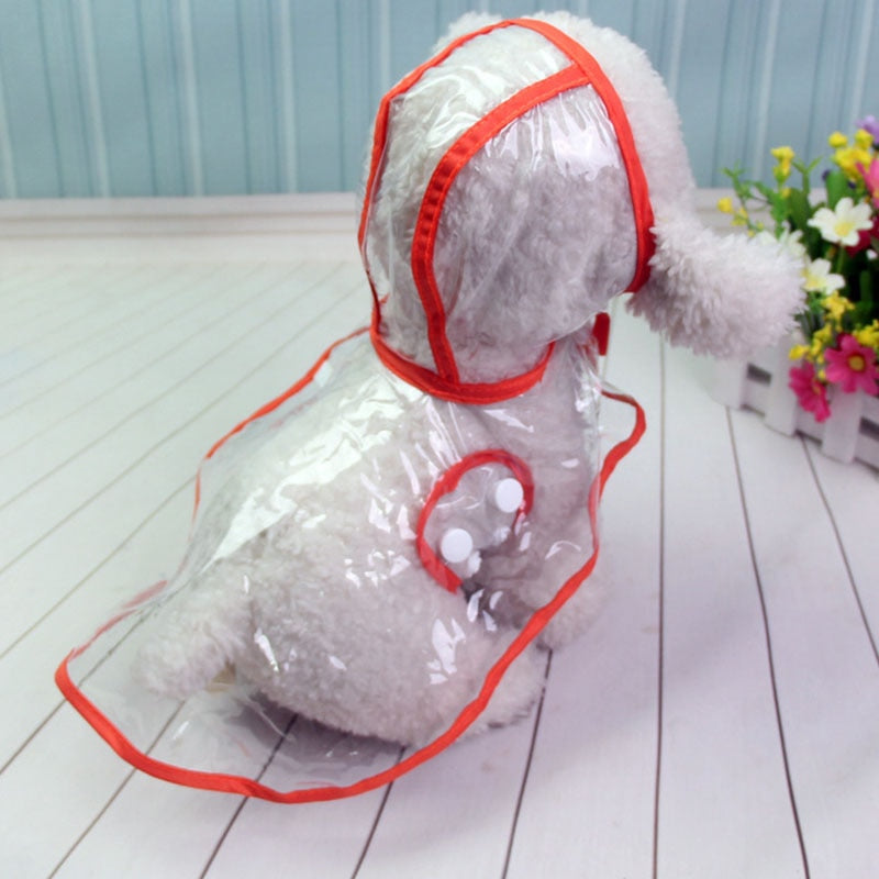 Raincoat for Small Breed Dogs - Shop for less