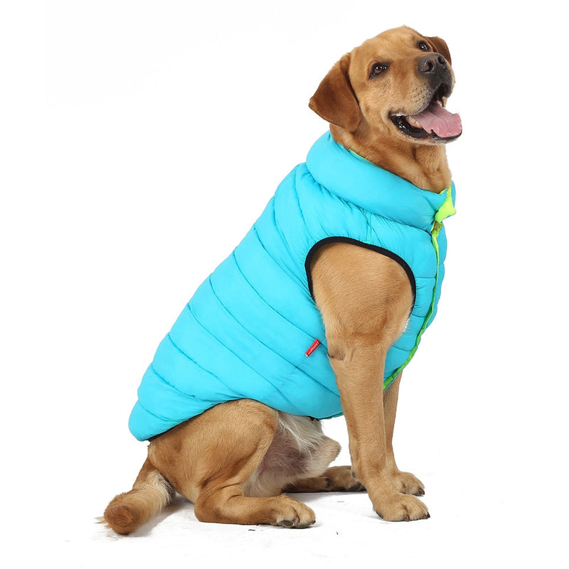 2 in 1 Double Sided Dog Thermal Vest - Shop for less