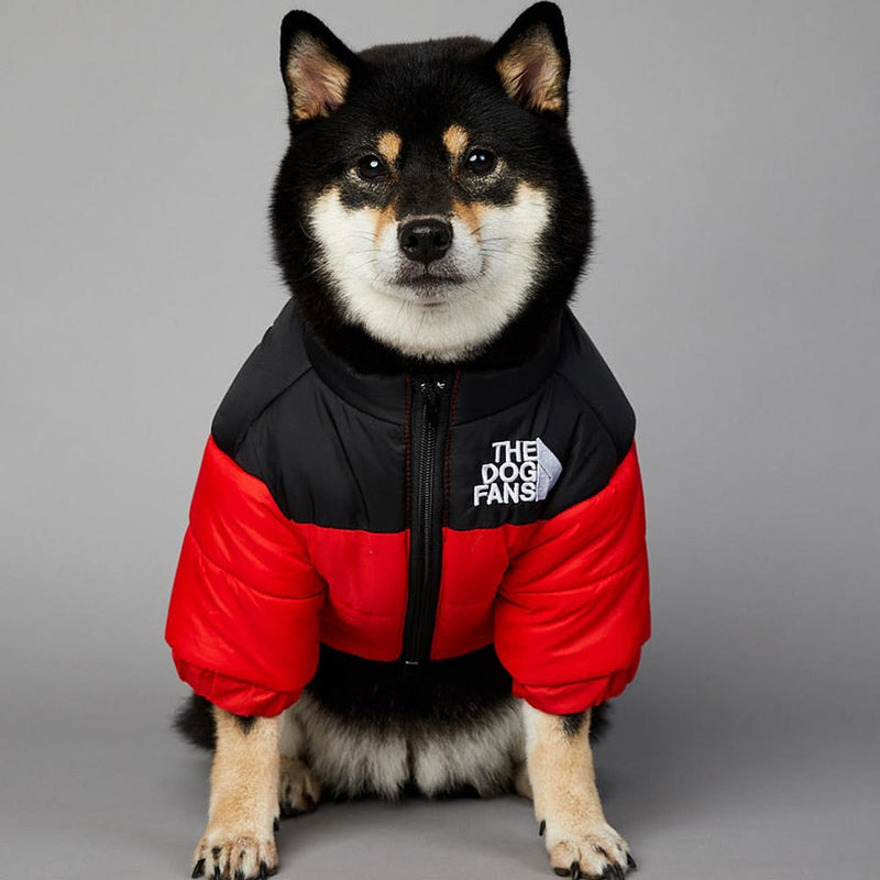 Cold Clothes for Dogs - Thermal Jacket - Shop for less