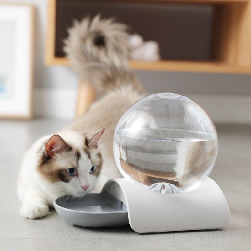 Automatic Water Fountain for Cats 2.8 Liter - HydraCat - Shop for less