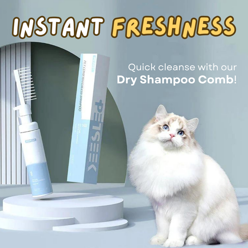 Dry Shampoo Comb - Shop for less