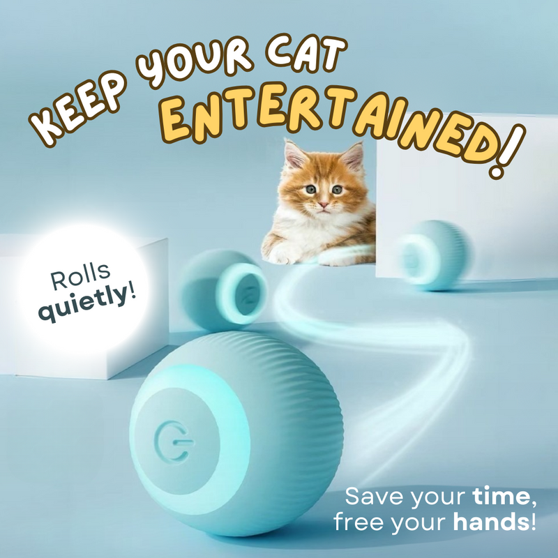 Smart Ball Cat Toy - Shop for less