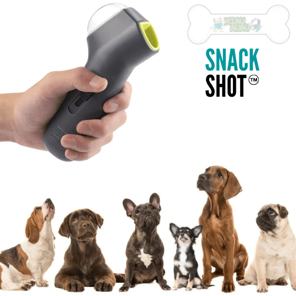 Interactive Dog Training Toy - Snack Shot - Shop for less