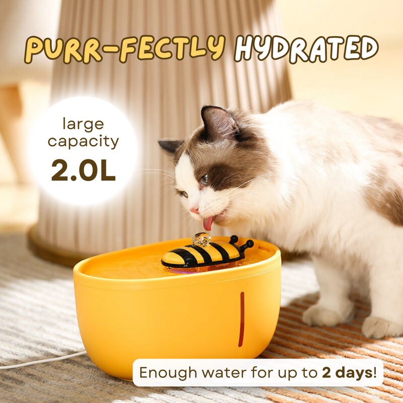 Bee Fountain (FREE 4 Filters) - Shop for less