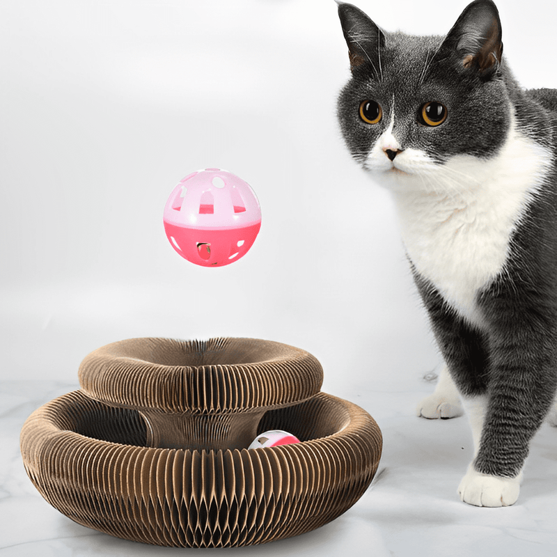 Interactive Toy for Cats - Magic Roll - Shop for less