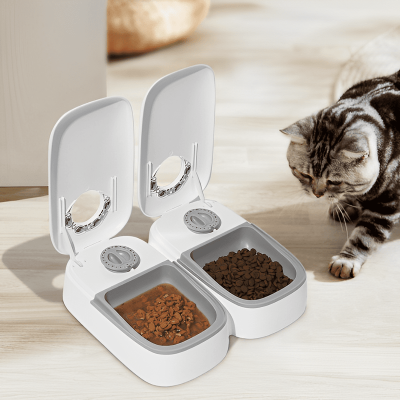 Double Automatic Cat Feeder with Timer - Shop for less