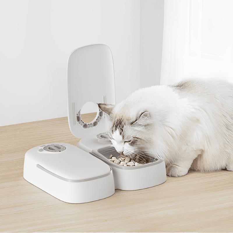 Double Automatic Cat Feeder with Timer - Shop for less