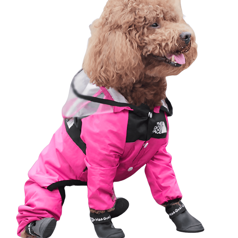 Raincoat for Small and Medium-sized Dogs - Shop for less