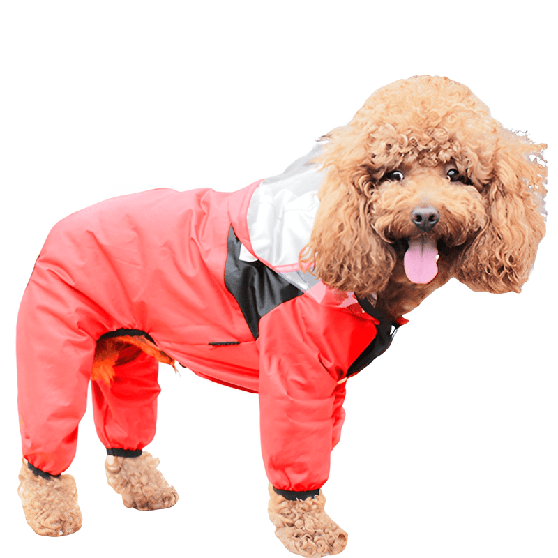 Raincoat for Small and Medium-sized Dogs - Shop for less