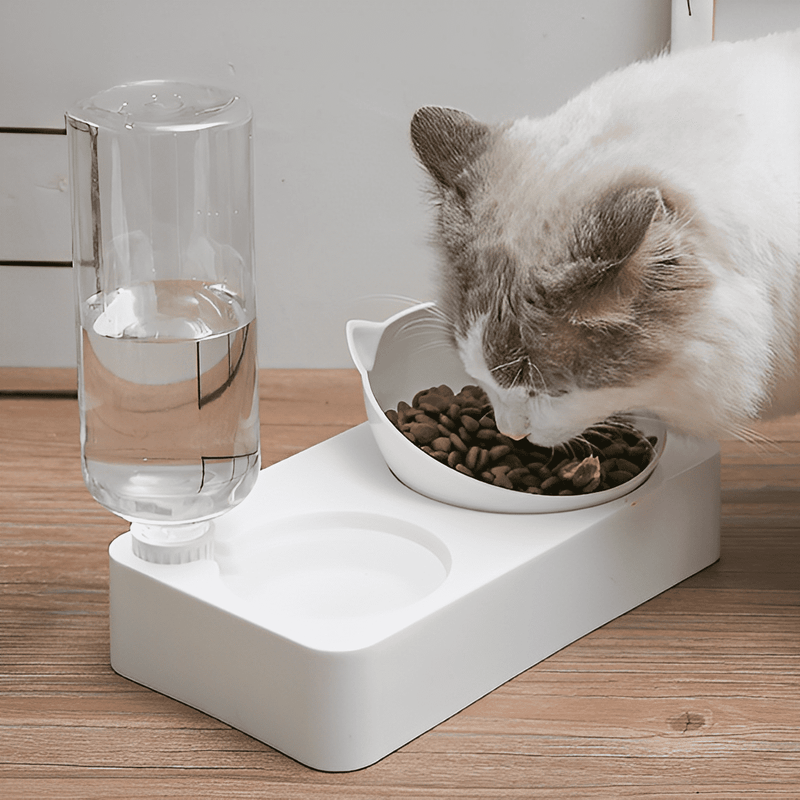 Ergonomic Feeder and Drinker for Cats 2 in 1 - Shop for less