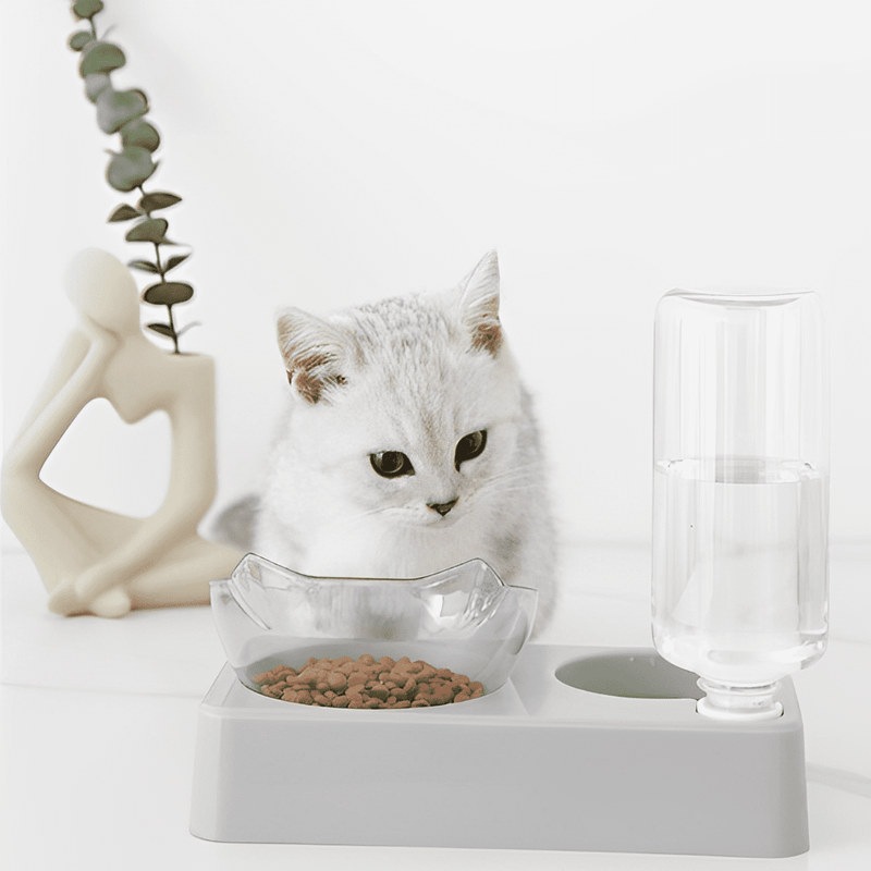 Ergonomic Feeder and Drinker for Cats 2 in 1 - Shop for less