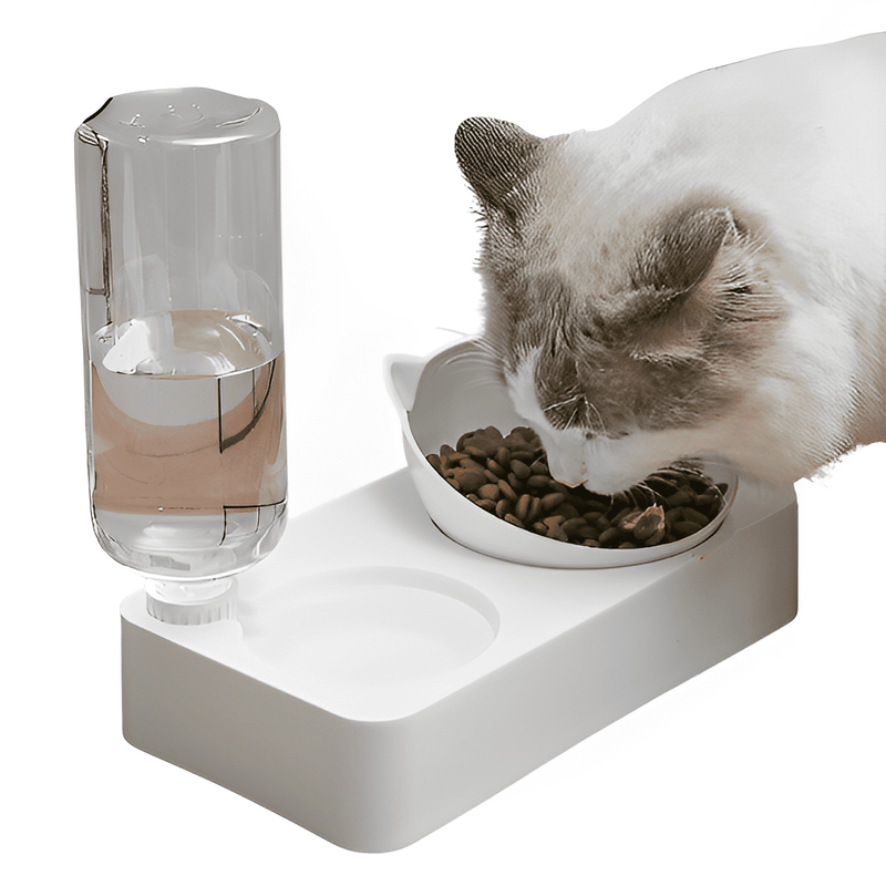 Ergonomic Feeder and Drinker for Cats 2 in 1 - Shop for less