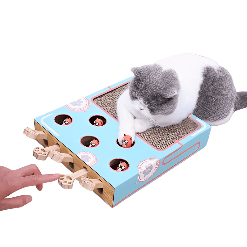 2 in 1 Interactive Cat Toy - Cat Kittens - Shop for less