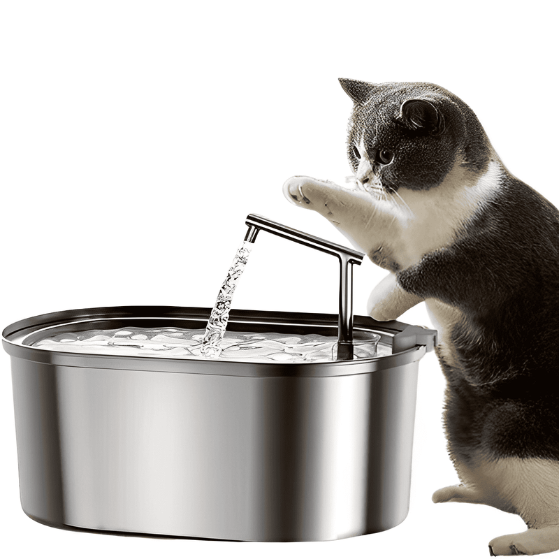 3.2L Stainless Steel Cat Drinking Fountain - Shop for less