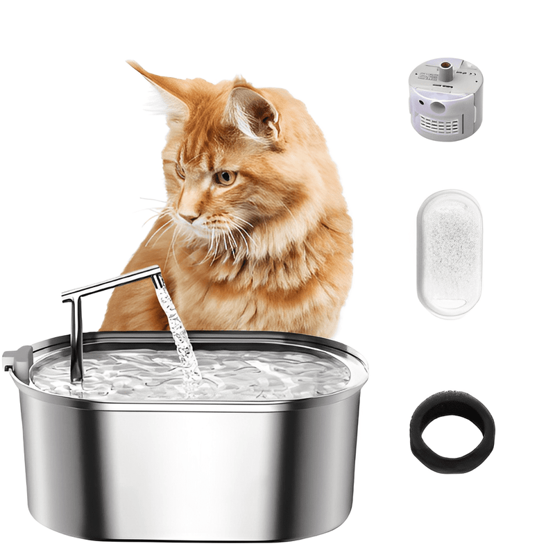 3.2L Stainless Steel Cat Drinking Fountain - Shop for less