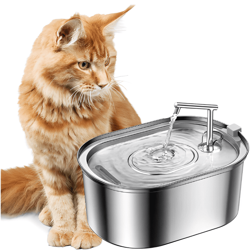 3.2L Stainless Steel Cat Drinking Fountain - Shop for less