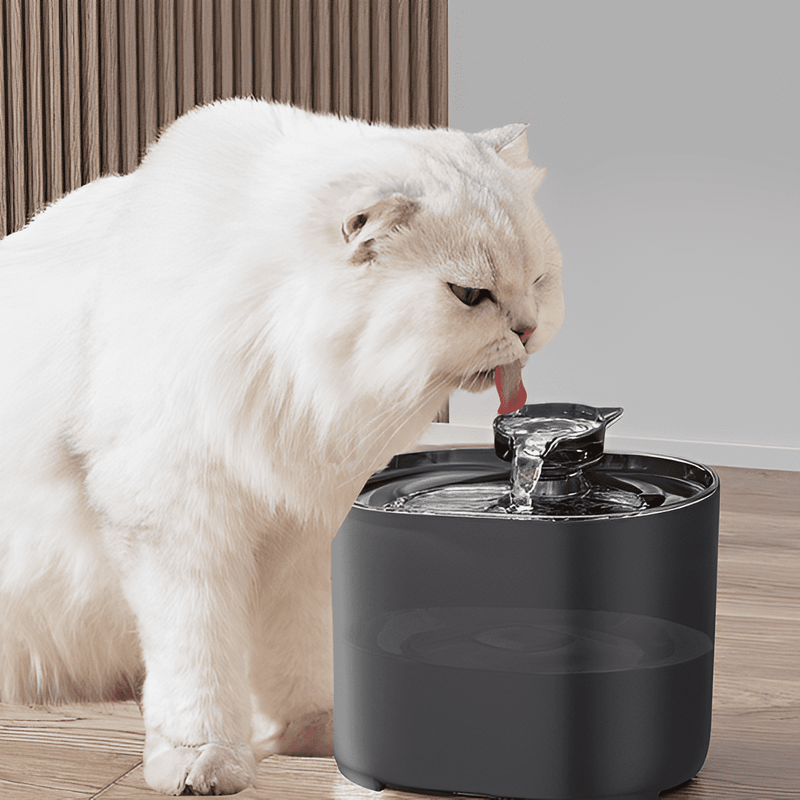 Water Fountain Drinking Fountain for Cats 2.2L USB - Aqua Oasis - Shop for less