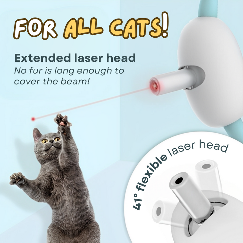 Cat Laser Collar - Shop for less