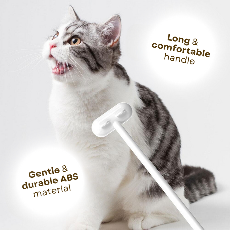 Purr Spot Brush - Shop for less