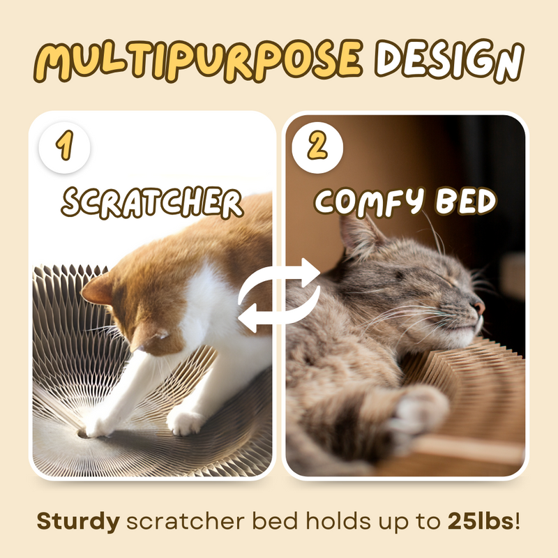 Magical Scratcher Bed - Shop for less