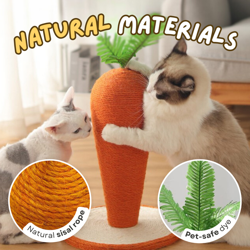 Carrot Cat Scratching Post - Shop for less