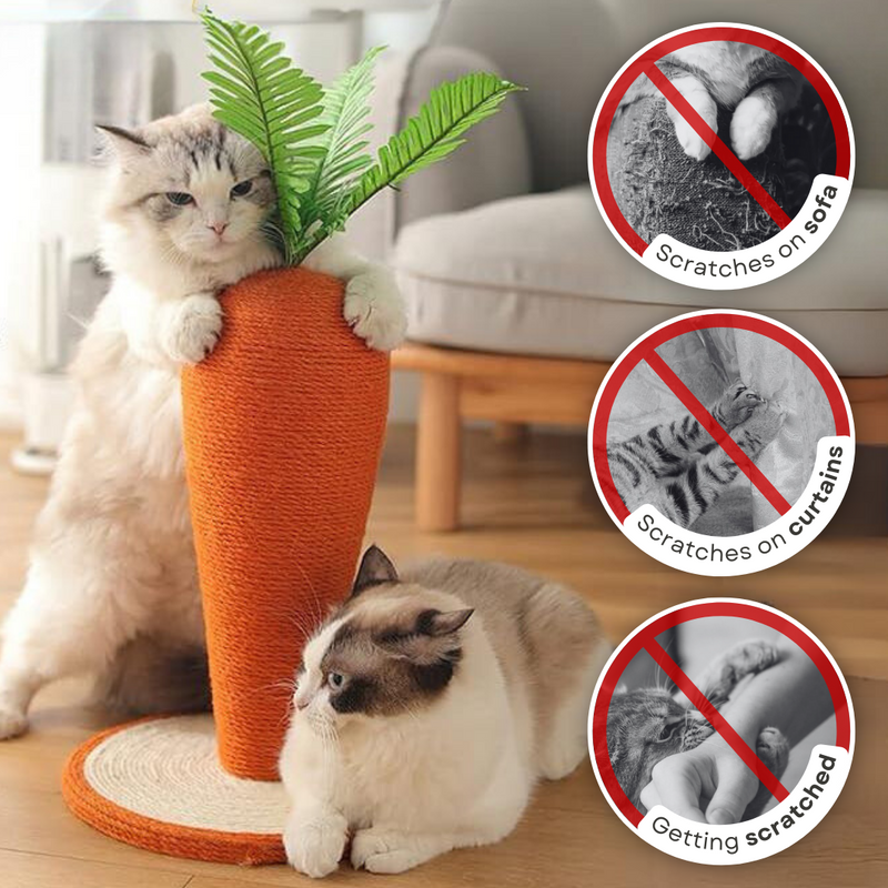 Carrot Cat Scratching Post - Shop for less