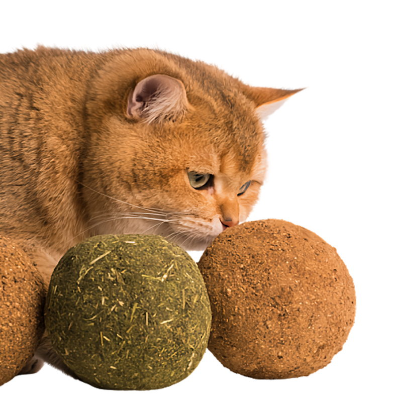 Jumbo Catnip Ball - Shop for less