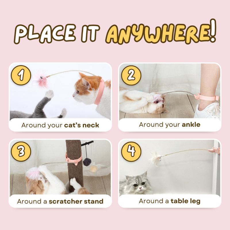 Cat Collar Toy - Shop for less