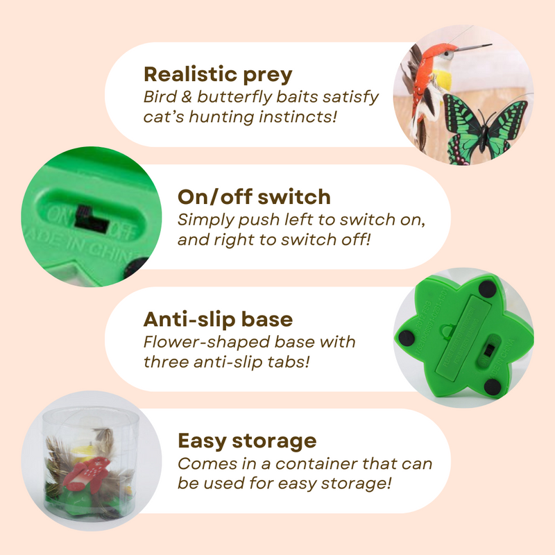 Buzzing Bird Toy - Shop for less