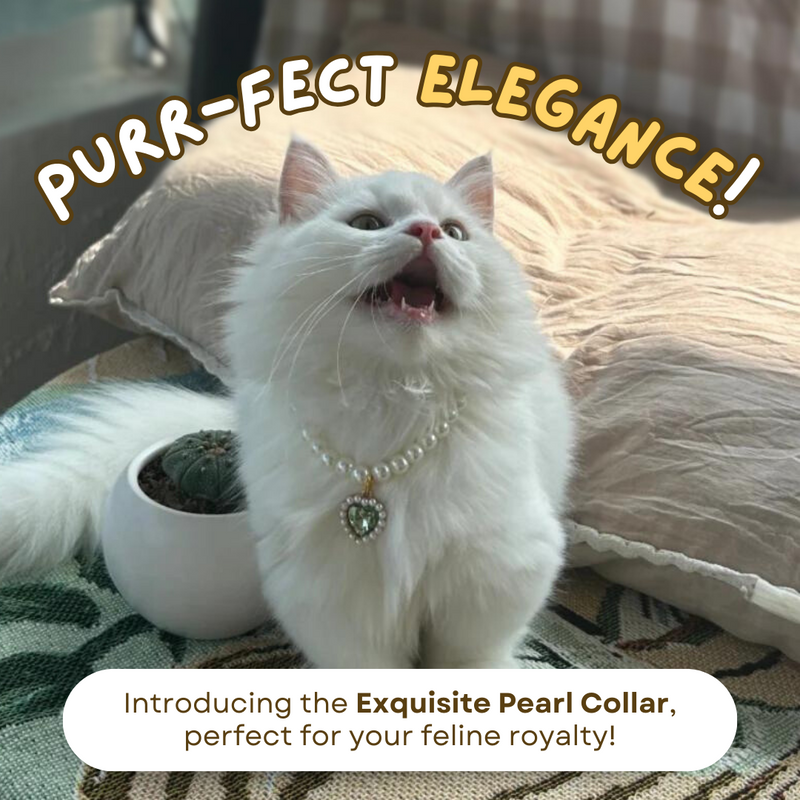 Cat Pearl Collar - Shop for less