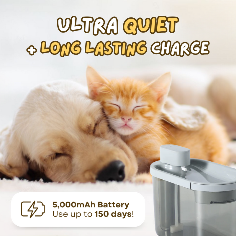 Wireless™ Pet Fountain - Shop for less