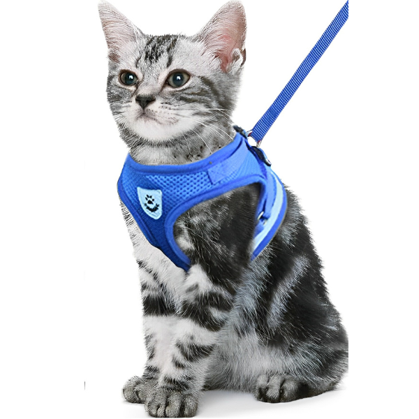 Chest Collar for Cats - Shop for less