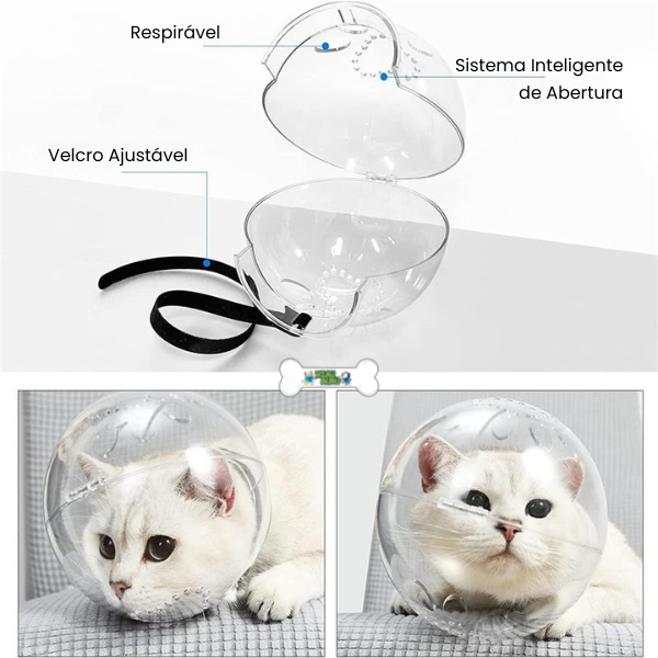 Cat Muzzle - Anti-Bite Helmet - Shop for less