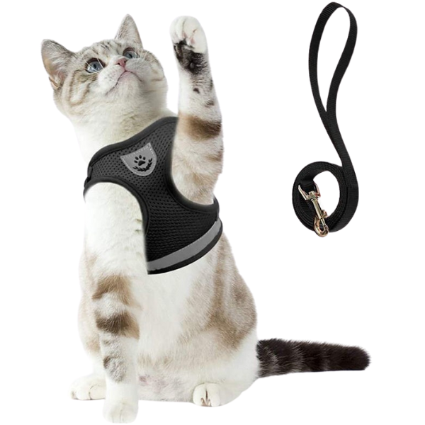 Chest Collar for Cats - Shop for less