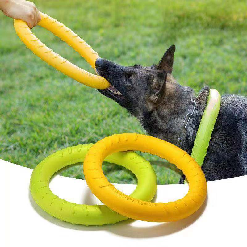 Dog Teether Toy - Training Disc - Shop for less