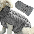 Winter Clothes for Small Breed Dogs - Shop for less