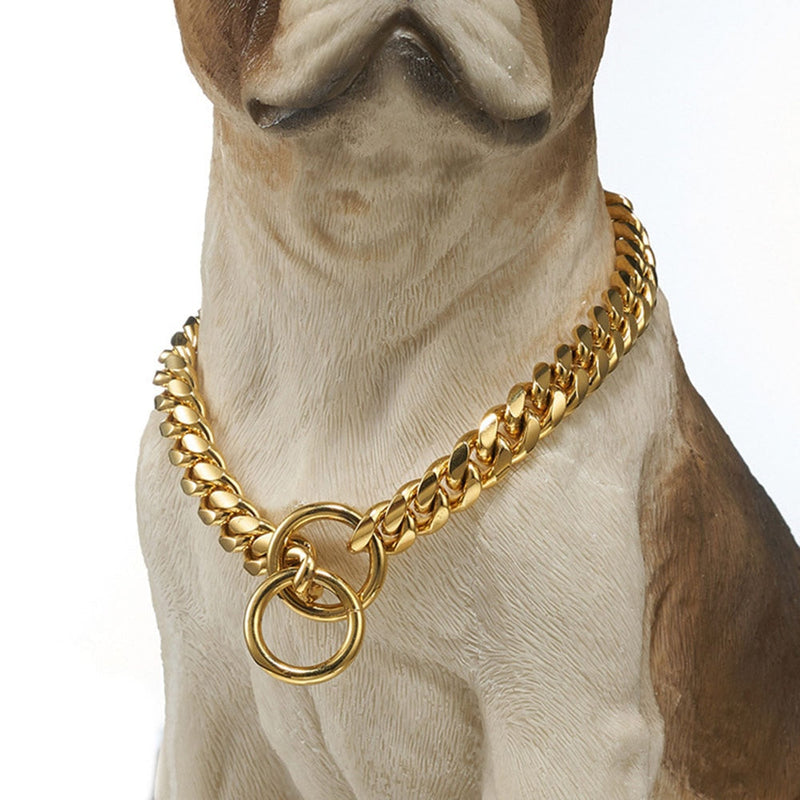 Gold Plated Stainless Steel Dog Collar - Shop for less