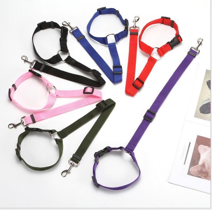 Safety Belt and Leash for Dogs - Dog Seat Belt - Shop for less