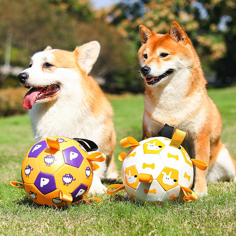 Dog Toy - Interactive Ball - Shop for less