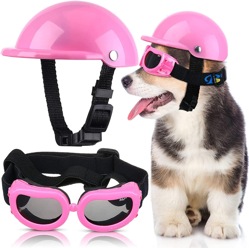 Helmet and Goggles for dogs - Jax Teller - Shop for less